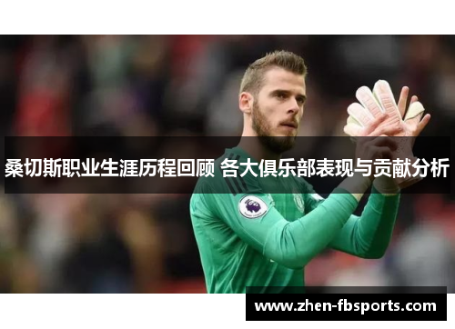 桑切斯职业生涯历程回顾 各大俱乐部表现与贡献分析