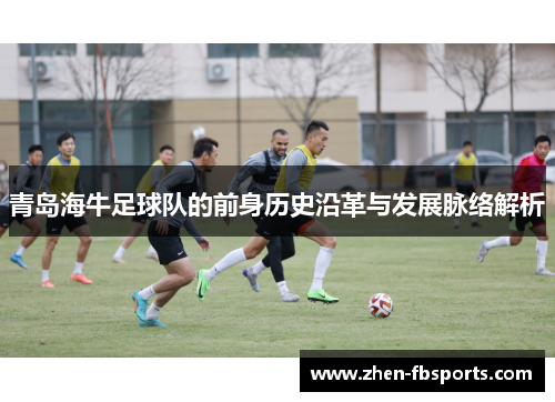青岛海牛足球队的前身历史沿革与发展脉络解析 青岛海牛足球队的前身历史沿革与发展脉络解析