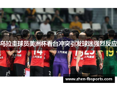 乌拉圭球员美洲杯看台冲突引发球迷强烈反应