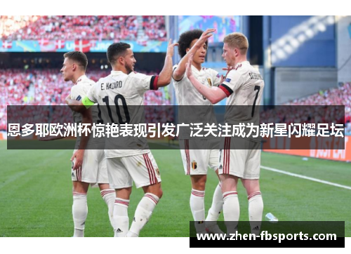 恩多耶欧洲杯惊艳表现引发广泛关注成为新星闪耀足坛